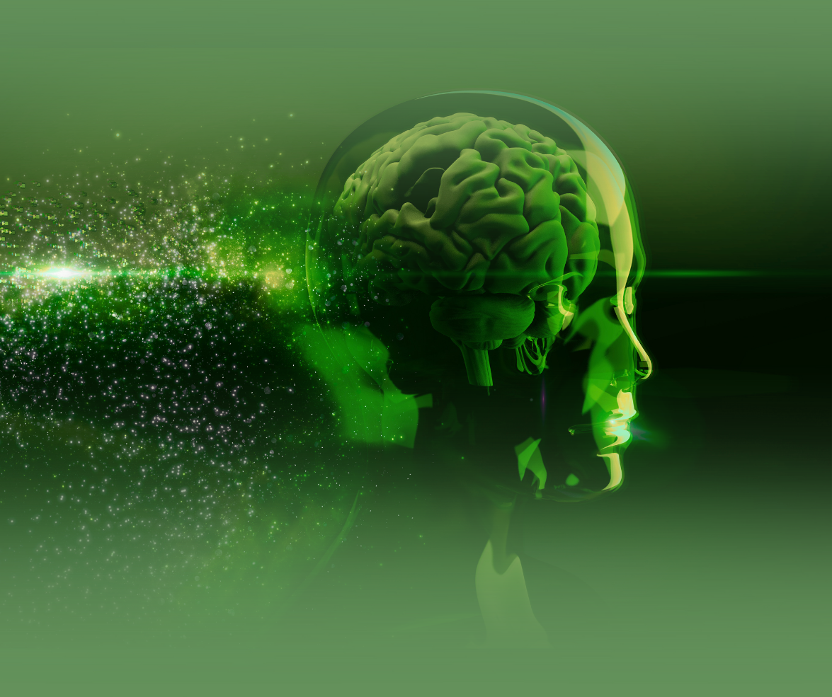 Learning Management Systems (LMS)